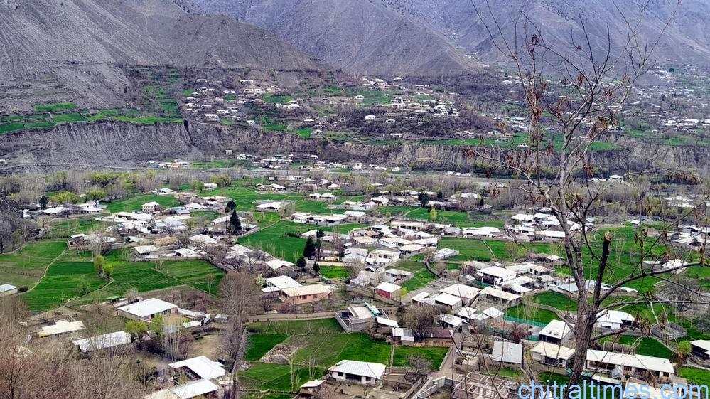  چترال میں بہار کی آمد، چترال ٹاوں میں بارشوں کے بعد قدرتی حسن نکھر اٹھا