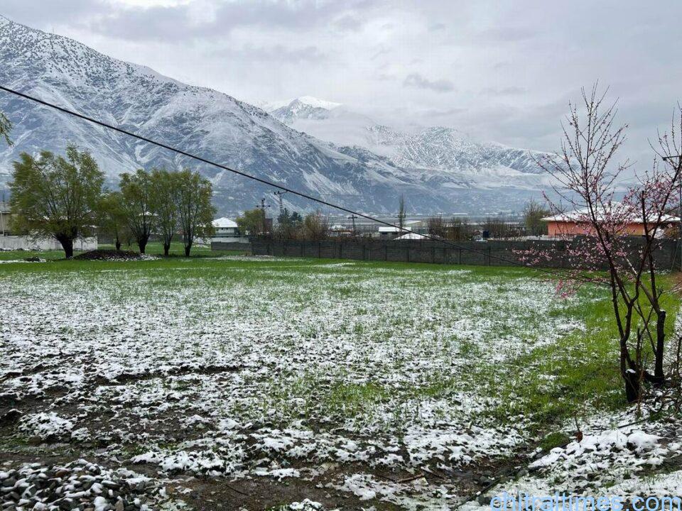 chitraltimes chitral town weather snowfall 1