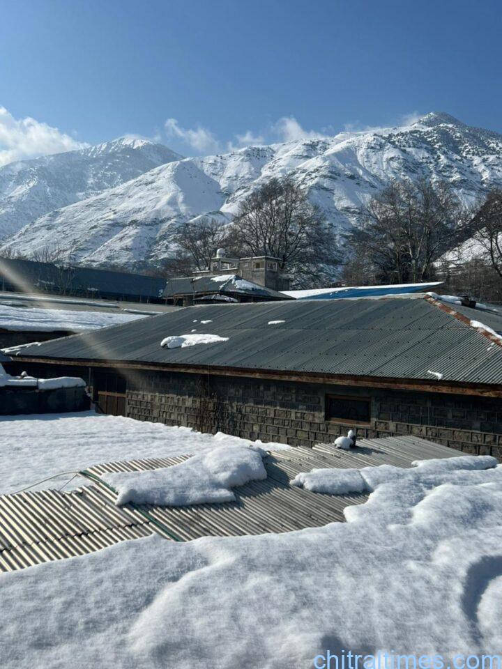 chitraltimes chitral weather update after snowfall 6