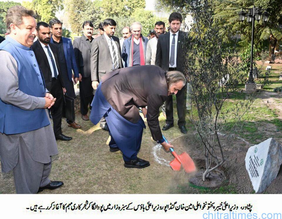 chitraltimes cm kp ali amin kicked off plantation campaign