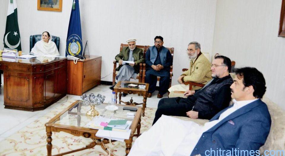 chitraltimes ds suraya chaired a meeting on health issues in upper chitral 5