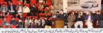 chitraltimes excise number plates auction