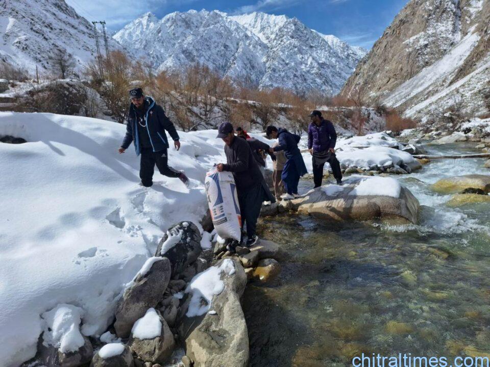 chitraltimes fishries department chitral lower stocked thousands of trout fish breeding into golen water 3