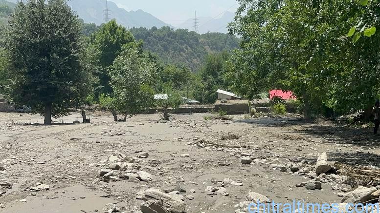 Chitral Times - The voice of Chitral | چترال لوئر: بروزگاوں، سین کوڑوم اور دیگر دیہات میں سیلاب نے تباہی مچا دی، متعدد مکانات منہدم، کھڑی فصلیں اور باغات ملبے تلے دب گئے chitraltimes flash flood damaged houses crops in broze kol lower chitral 1