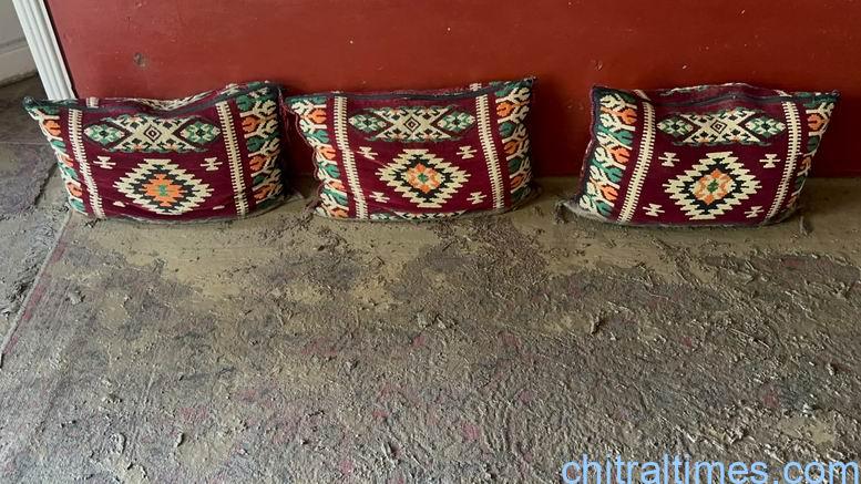 chitraltimes flash flood damaged houses crops in broze kol lower chitral 9