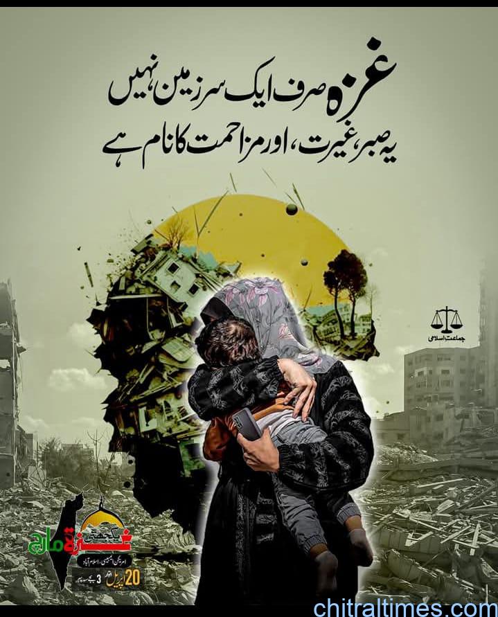 chitraltimes ghaza palastine