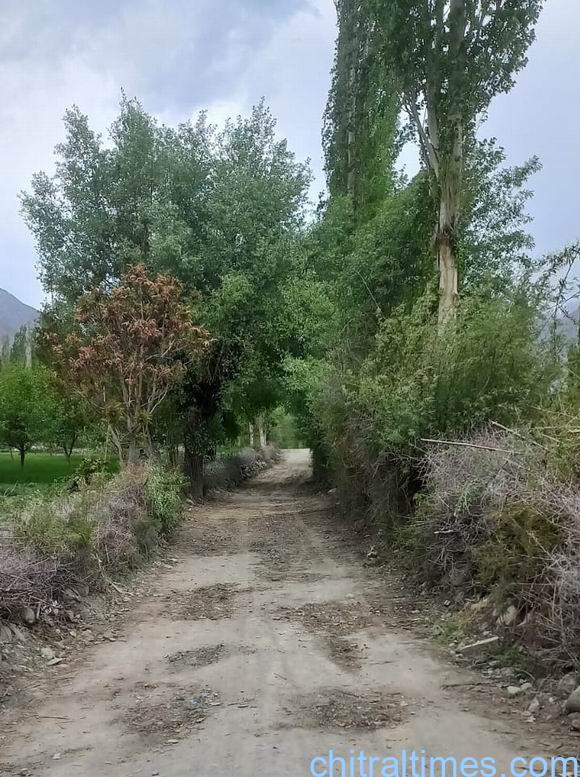 chitraltimes hh prince rahim aga khan chitral visit ismaili volunteers road repairing 1