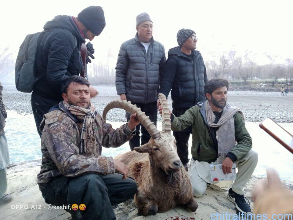 chitraltimes ibex trophy hunting brep col sharif 3