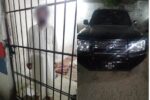 chitraltimes peshawar road incident chitrali woman died