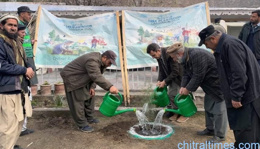chitraltimes plantation campaign chitral lower 1