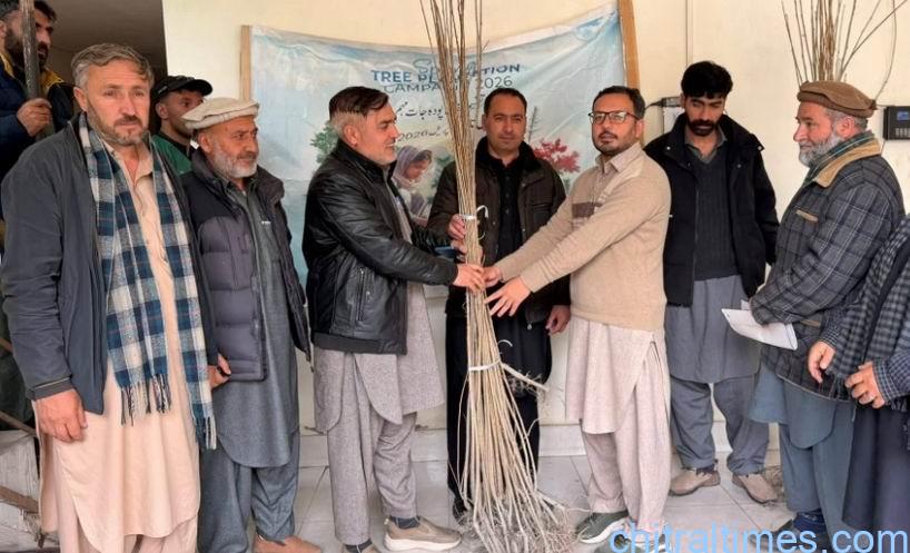 chitraltimes plantation campaign chitral lower 2