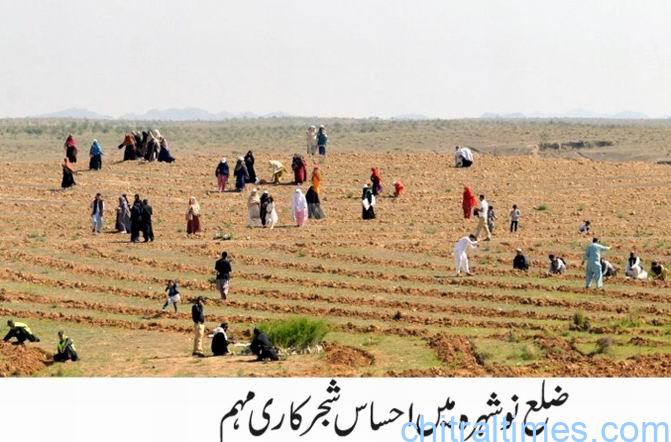 chitraltimes plantation drive kp nowshehra ahsas shajar kari mohim