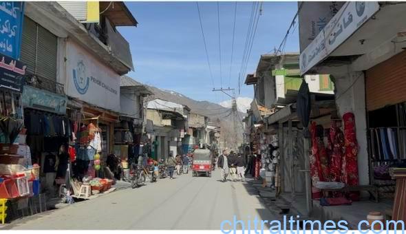 chitraltimes pti protest 8february and chitral bazar 2