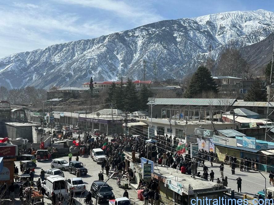پی ٹی آئی کی کال پر چترال شہراور اپر چترال کی ضلعی ہیڈ کوارٹرز بونی میں تاجر برادری کی طرف سے ملا جلا رجحان، بازار کی مکمل شٹر ڈاؤن اور پہیہ جام ہڑتال کی اپیل مسترد کردی گئی، دکانیں اور کاروباری مراکز کھلے رہے، ٹریفک بھی رواں دواں