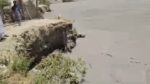 chitraltimes river chitral flood nagr 1