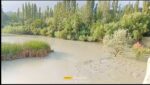 chitraltimes river yarkhoon overflow chapali 1