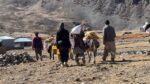 chitraltimes senator talha mahmood relief distributed in broghil valley 6
