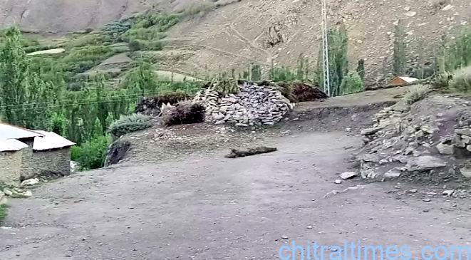 chitraltimes shams tabreez chitral arrival by rehmat aziz parpish 6