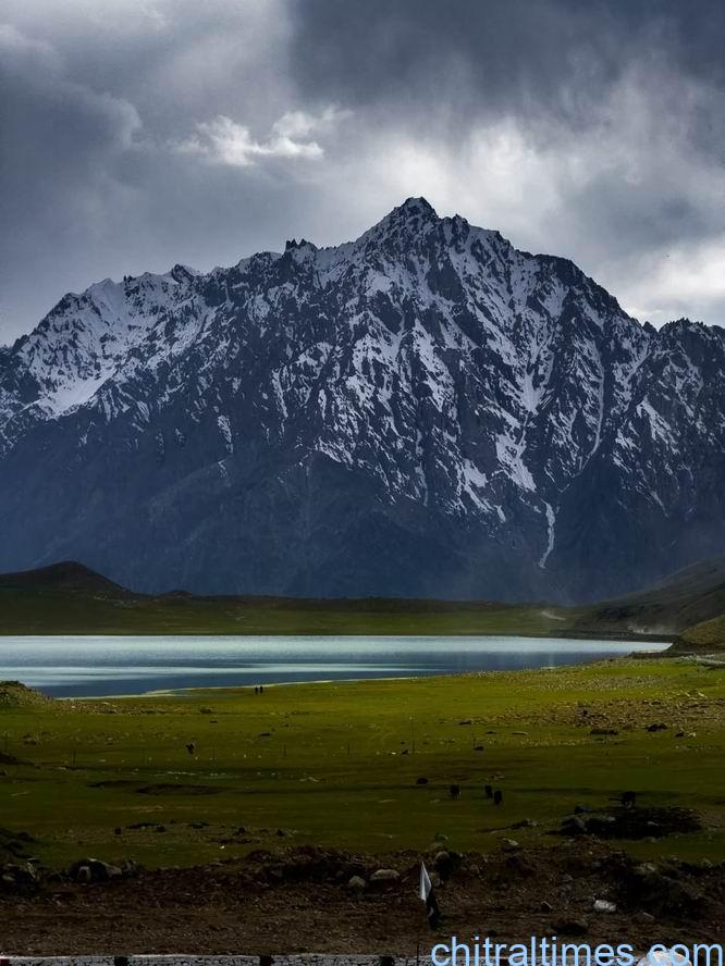 chitraltimes shandur pass polo 3