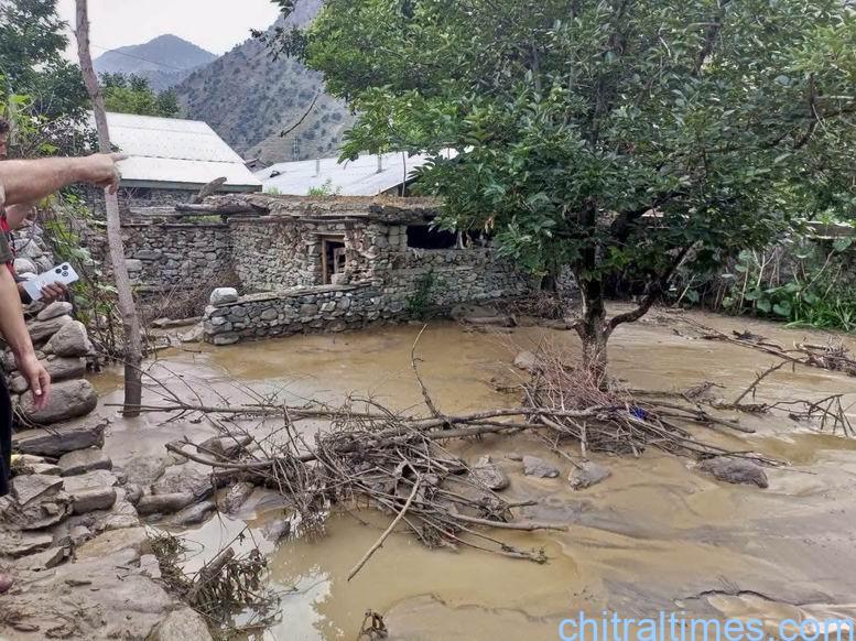 چترال لوئر میں مختلف ندی نالوں میں سیلابی صورتحال، ٹینگیل شیشی کوہ کا رابطہ پل سیلاب برد،  انفراسٹرکچر اور فصلوں کو نقصان