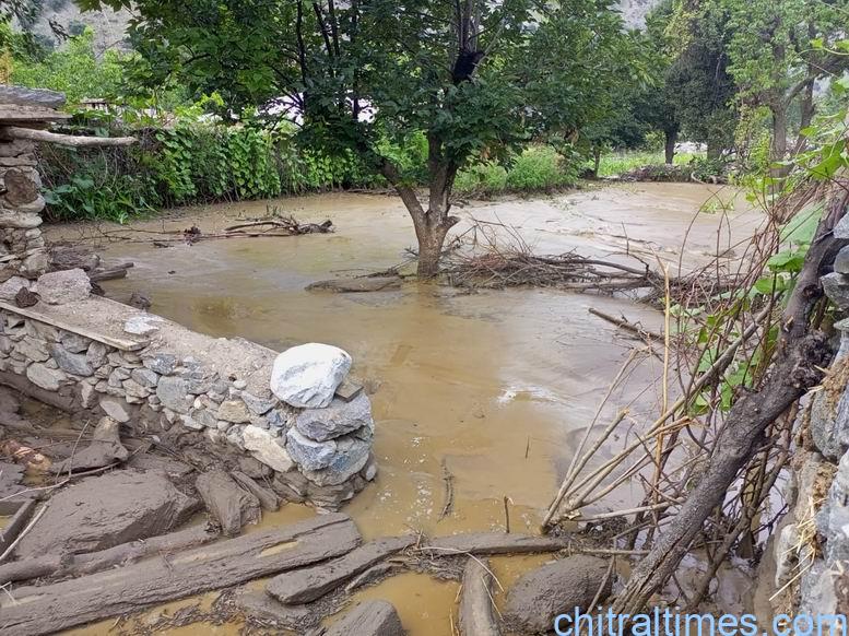chitraltimes shishikoh flood tengal 5