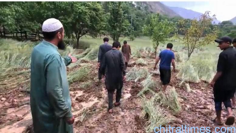 چترال لوئر: شیشی کوہ میں موسلا دھار بارش کے بعد خوفناک سیلابی صورتحال، فصلوں، گھروں اور انفراسٹرکچر کو نقصان، رابطہ سڑکیں بند، آبپاشی و آبنوشی کی اسکمیں متاثر، پانی سپلائی معطل