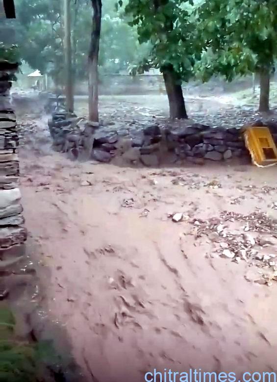 chitraltimes shishikoh rain and flood damaged crops infrastructure 2