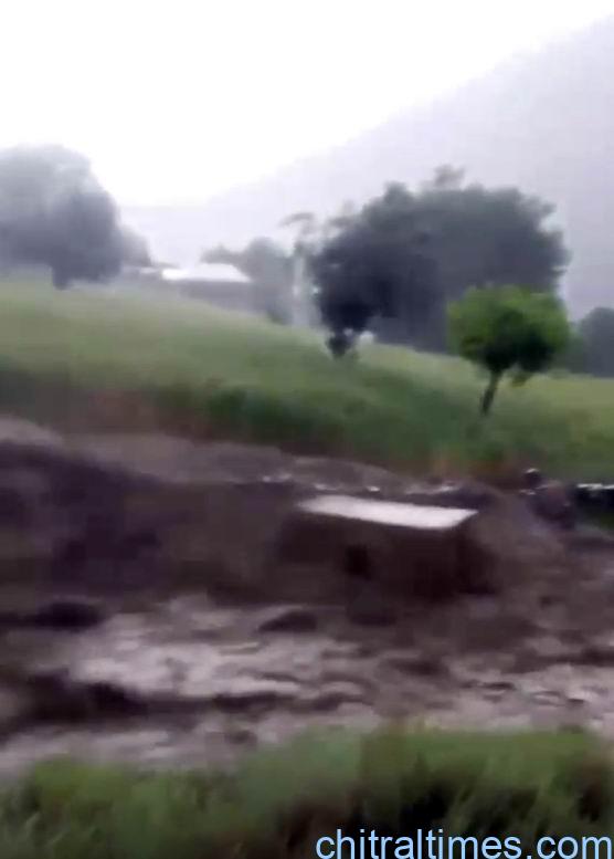 chitraltimes shishikoh rain and flood damaged crops infrastructure 4