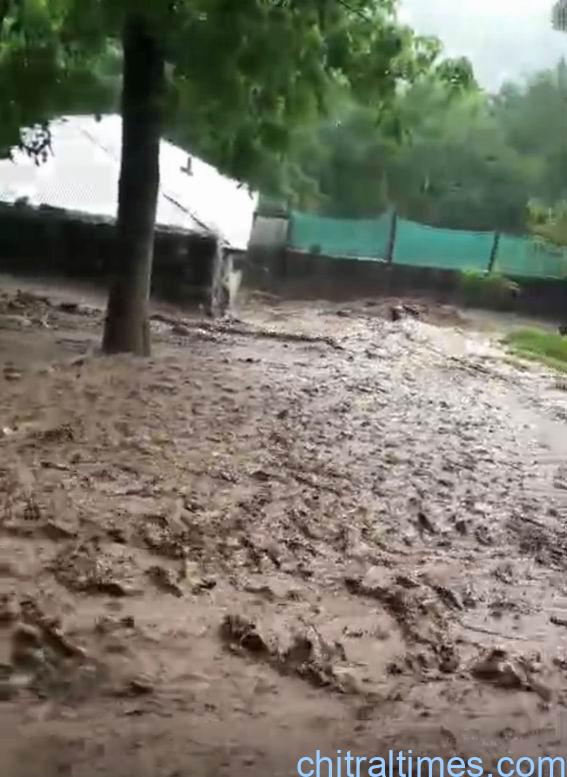 chitraltimes shishikoh rain and flood damaged crops infrastructure 5