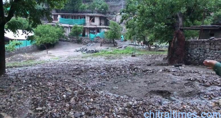 chitraltimes shishikoh rain and flood damaged crops infrastructure 6