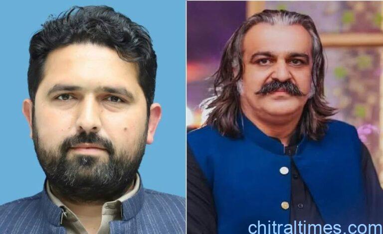 chitraltimes sohail afridi nominated cm kp and ali amin gandapur
