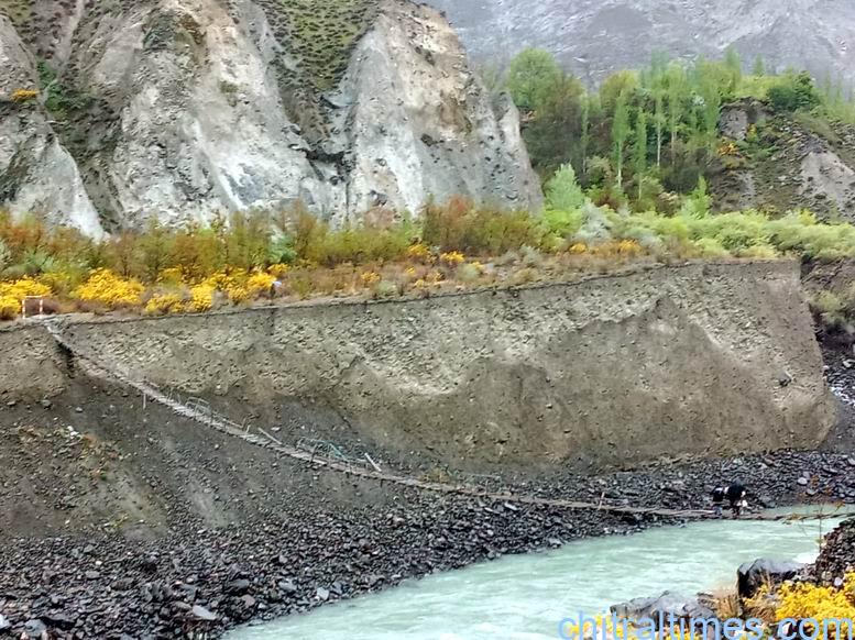 سنوغر- پرواک پل خستہ حالی کا شکار، کسی بھی وقت بڑے حادثے کا خدشہ، داد رسی کی اپیل