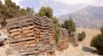chitraltimes timber depot arandu