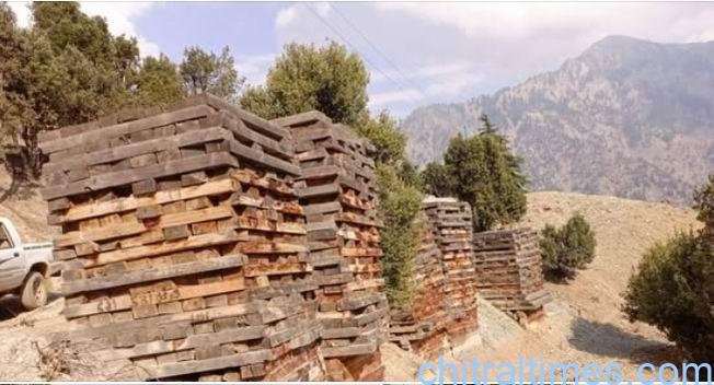 چترال لوئر میں ٹمبر مافیا کے خلاف سابق ایم این اے شہزادہ افتخار الدین متحرک، ڈپٹی کمشنر سے رابطہ، فوری نوٹس لینے کا مطالبہ
