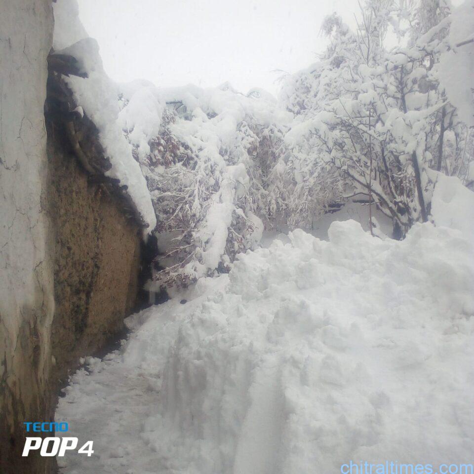 chitraltimes upper chitral and karimabad snowfall and shandur road 8 1