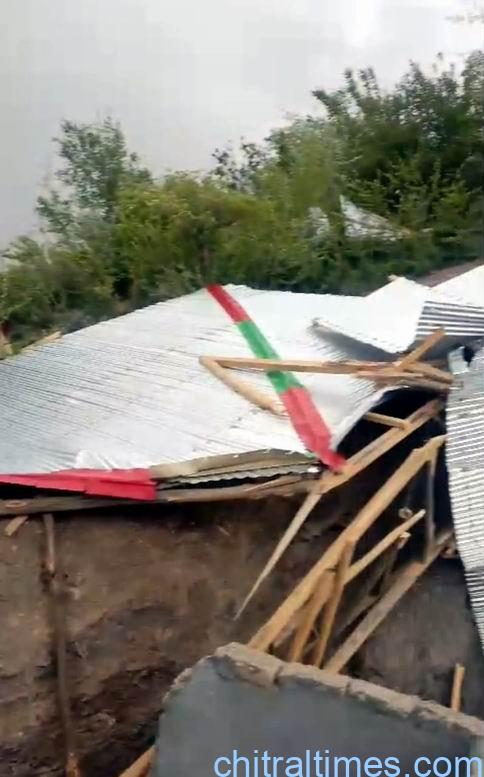 chitraltimes upper chitral houses roof damaged 4