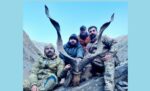 chitraltimes us citizen hunt a trophy markhor in chitral