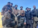 chitraltimes us trophy hunter hunt a kashmir markhor in chitral with a 55 inch horn