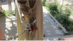 chitraltimes vloger arrested in kalash valley 2