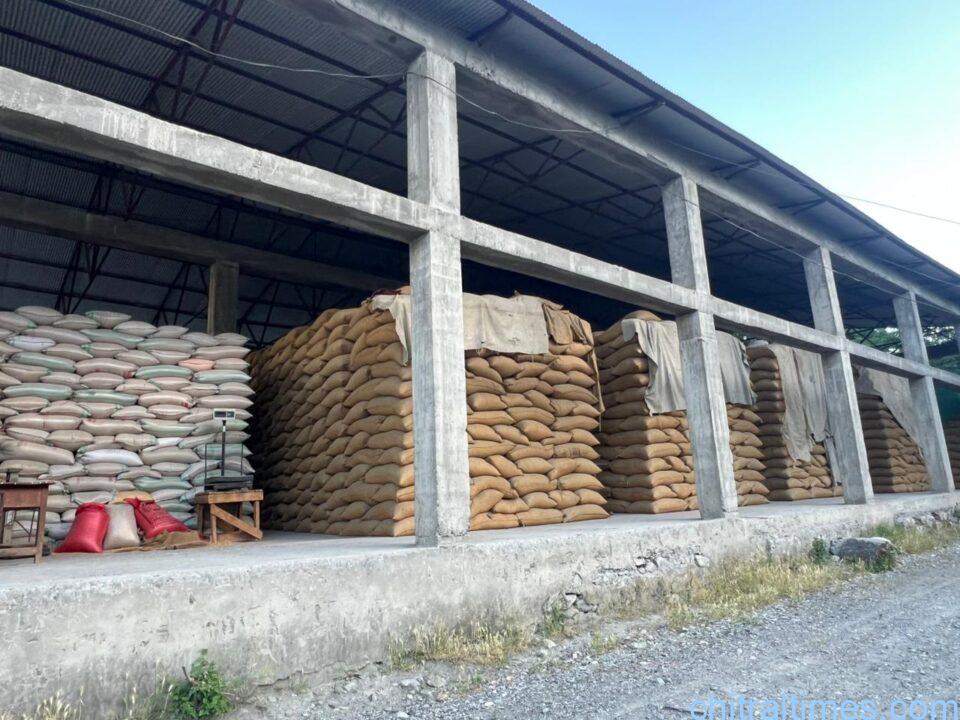 chitraltimes wheat stock chitral food department goodown danin 2