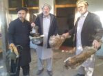chitraltimes wildlife department recovered horn and leather of illegal hunted markhor 2