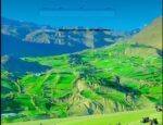 kushum upper chitral