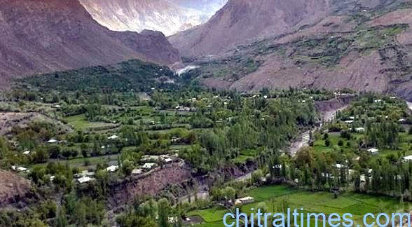 اپر چترال کے گاؤں رائین میں ناشپاتی کی مقامی قسم شوغوری میں کیڑے لگنے سے اس سال کا پیدوار مکمل طور پر تباہ ہوگیا، محمد سید خان لال 